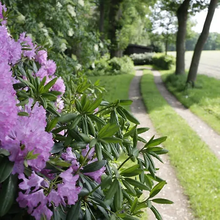 Ferienhaus Im Schluh