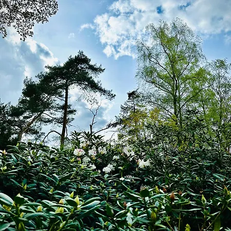 Im Schluh * Worpswede