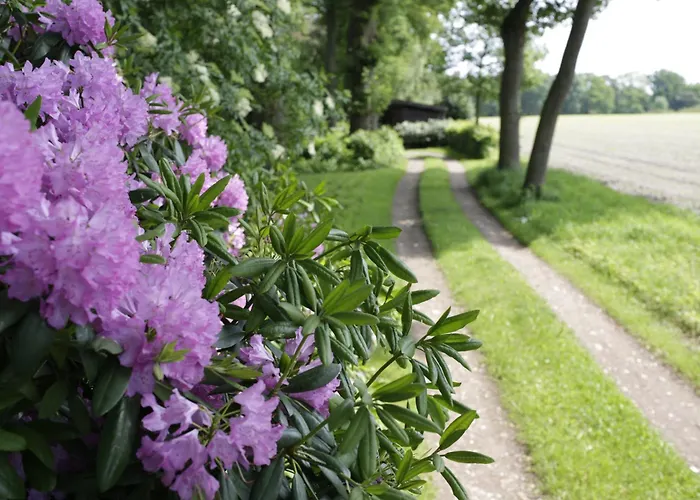 Дом отдыха Im Schluh