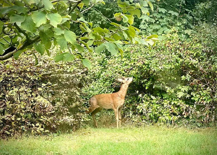 Дом отдыха Im Schluh Ворпсведе