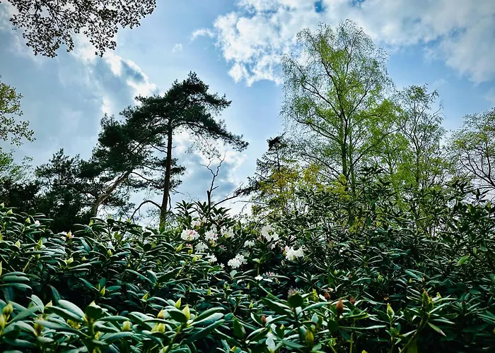 Im Schluh * Ворпсведе